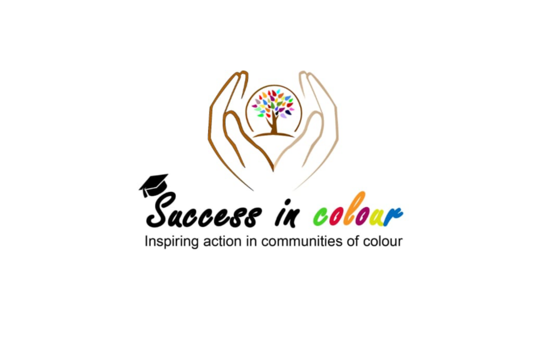 Success in Colour Case Study